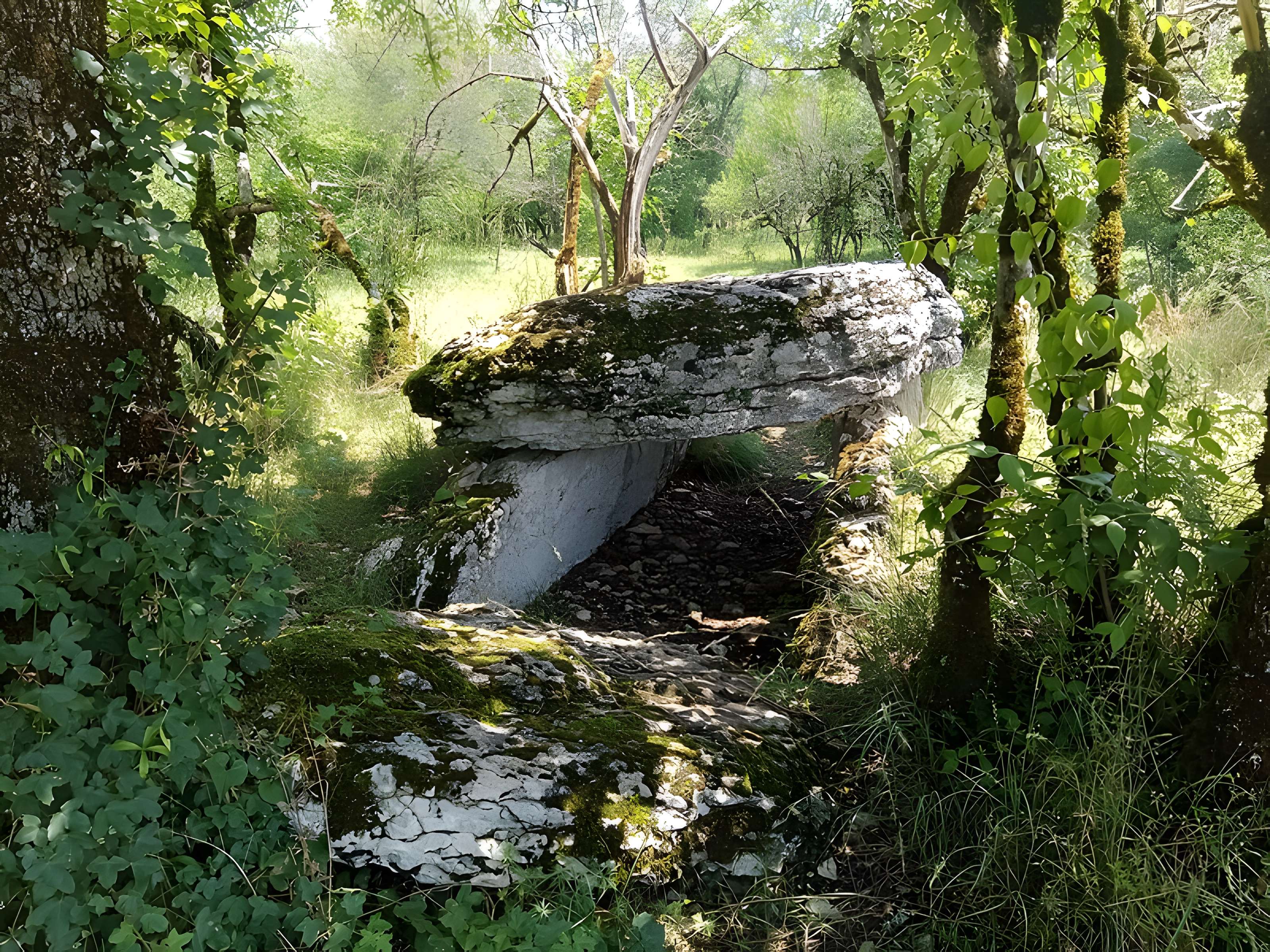 Dolmen de Joncas à Limogne-en-Quercy