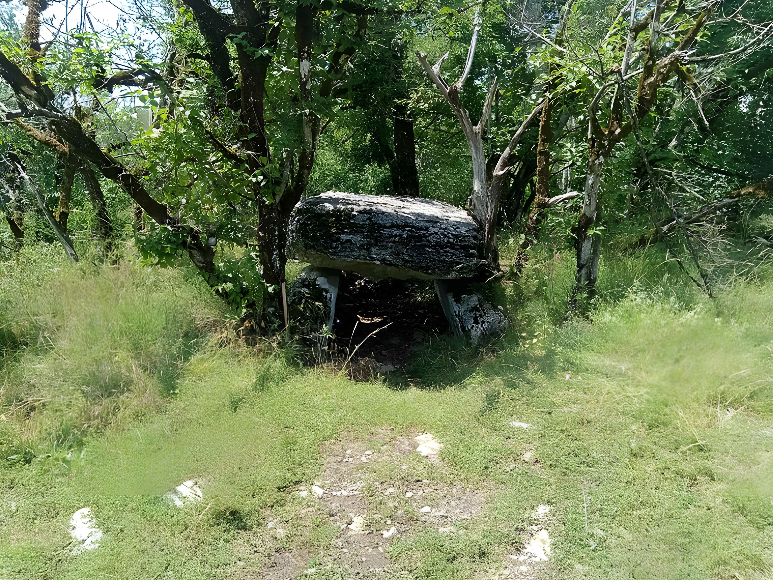 Dolmen de Joncas à Limogne-en-Quercy