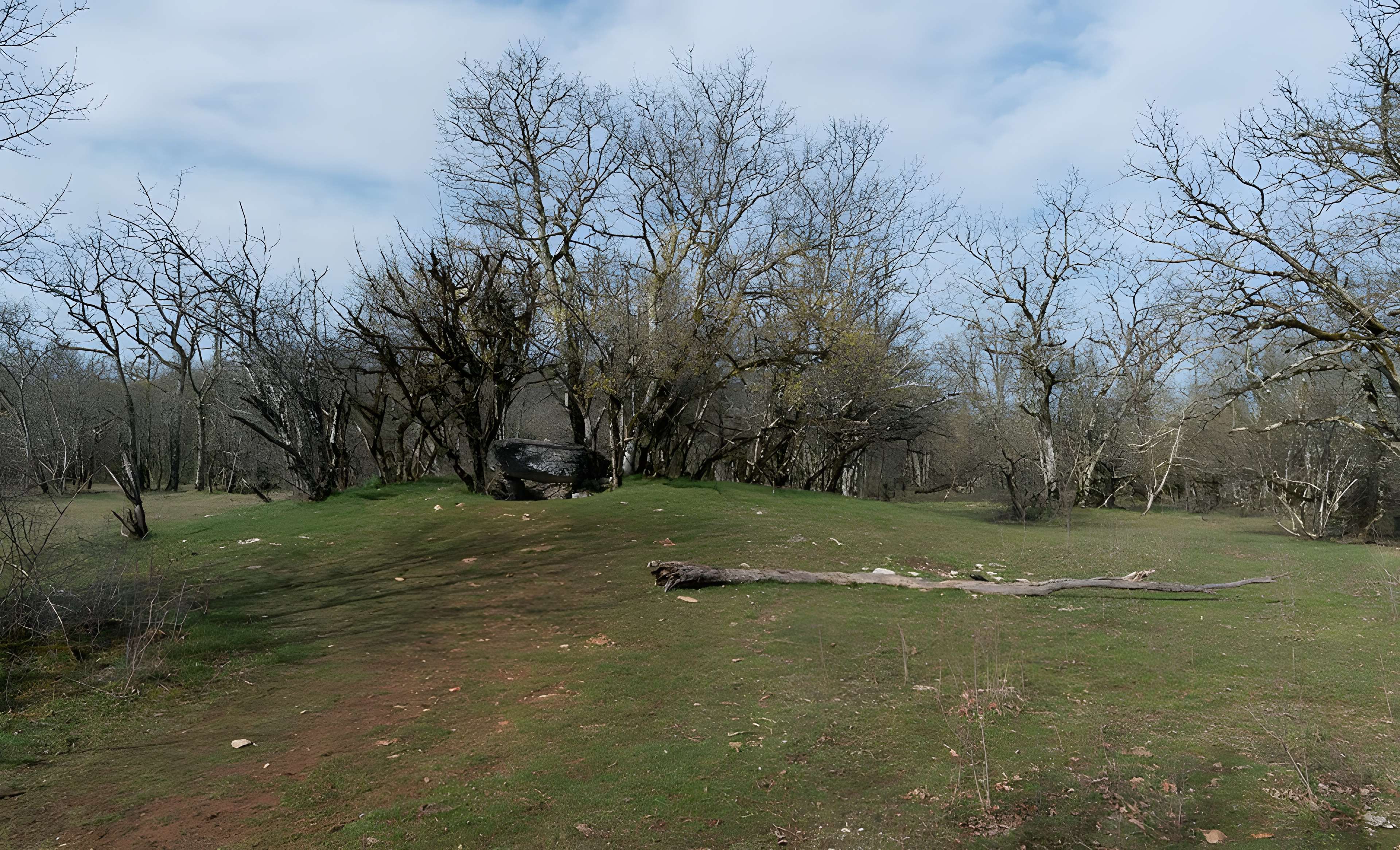 Dolmen de Joncas à Limogne-en-Quercy