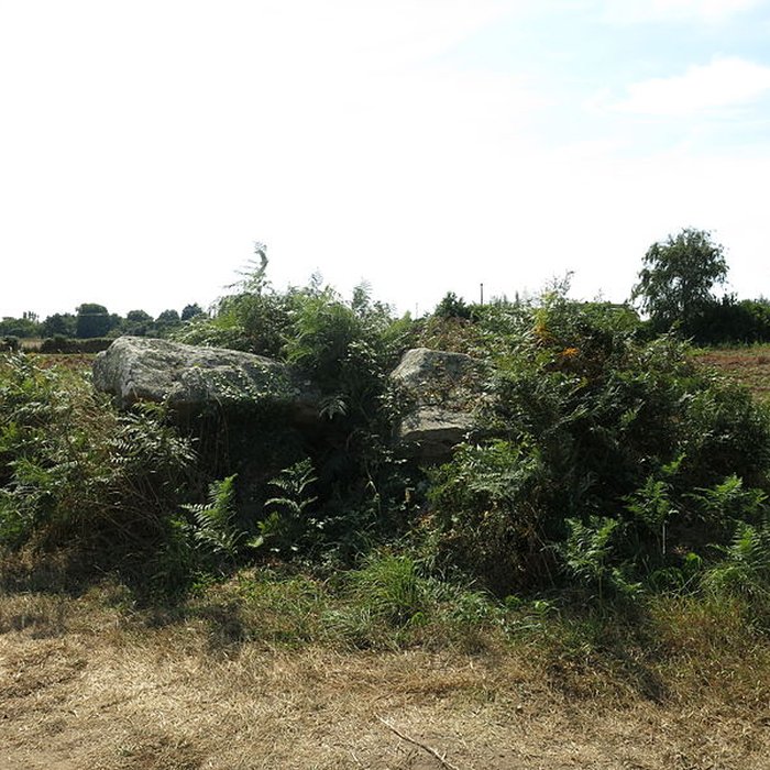 Photo de Dolmen de Kerangré à Erdeven