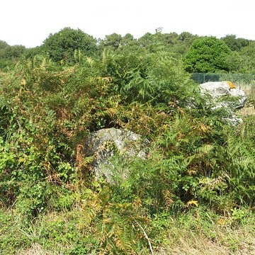 Dolmen de Kerangré à Erdeven