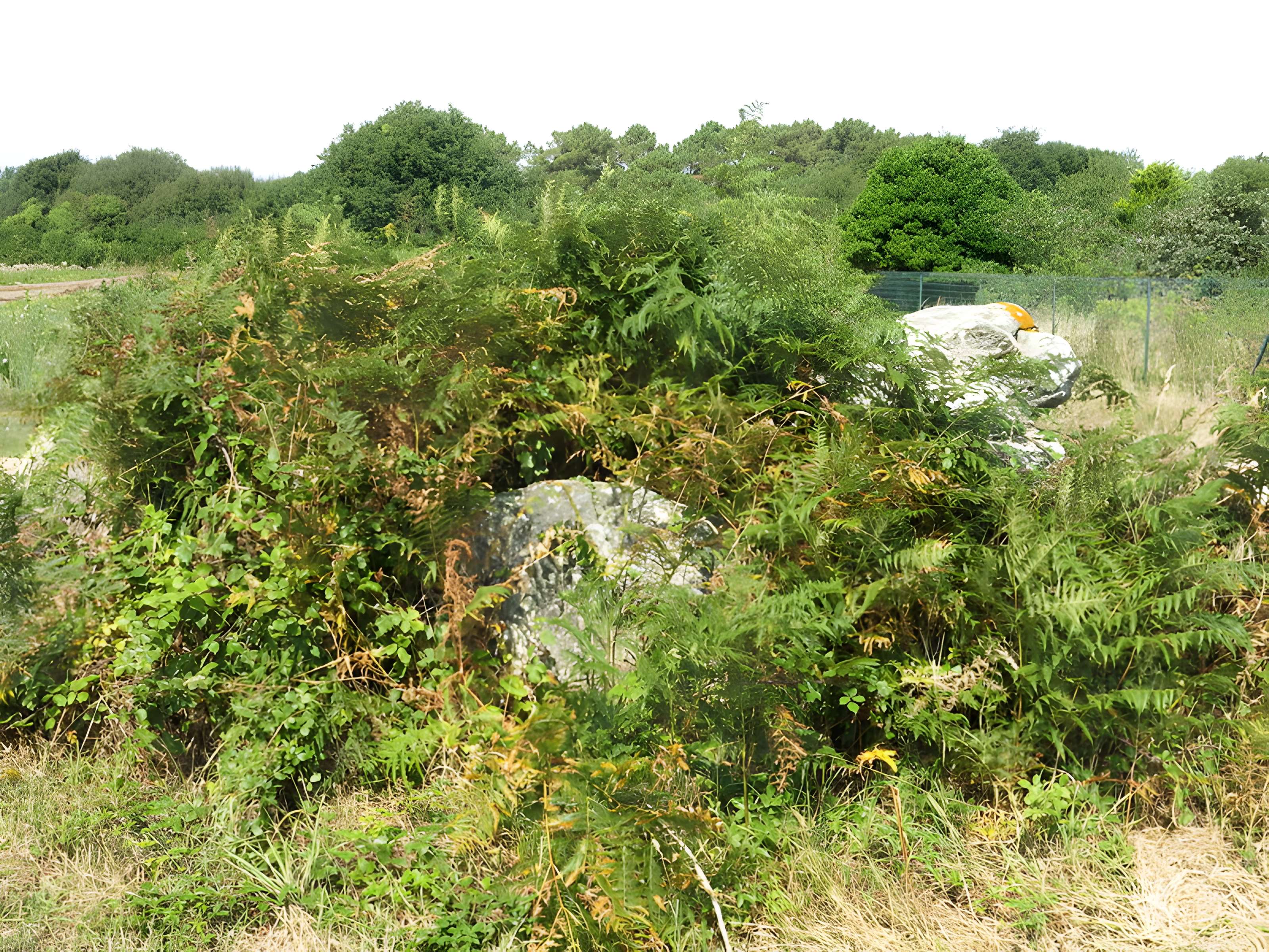 Dolmen de Kerangré à Erdeven