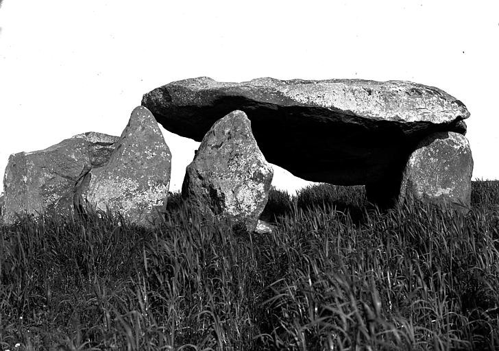 Photo de Dolmen de Kergavat à Plouharnel