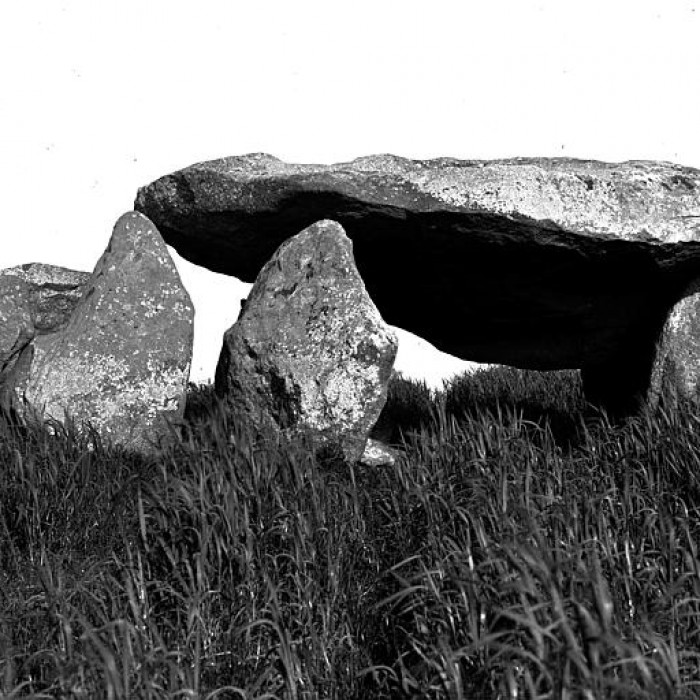 Photo de Dolmen de Kergavat à Plouharnel