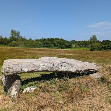 Dolmen et allée couverte de Kergünteil