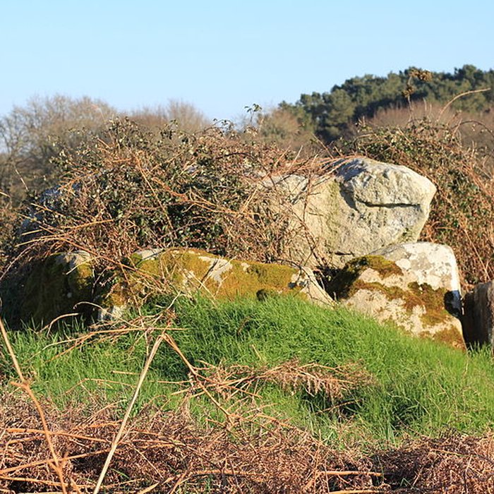 Photo de Dolmen de Kéric-la-Lande à Carnac