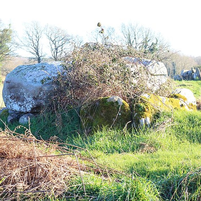 Photo de Dolmen de Kéric-la-Lande à Carnac