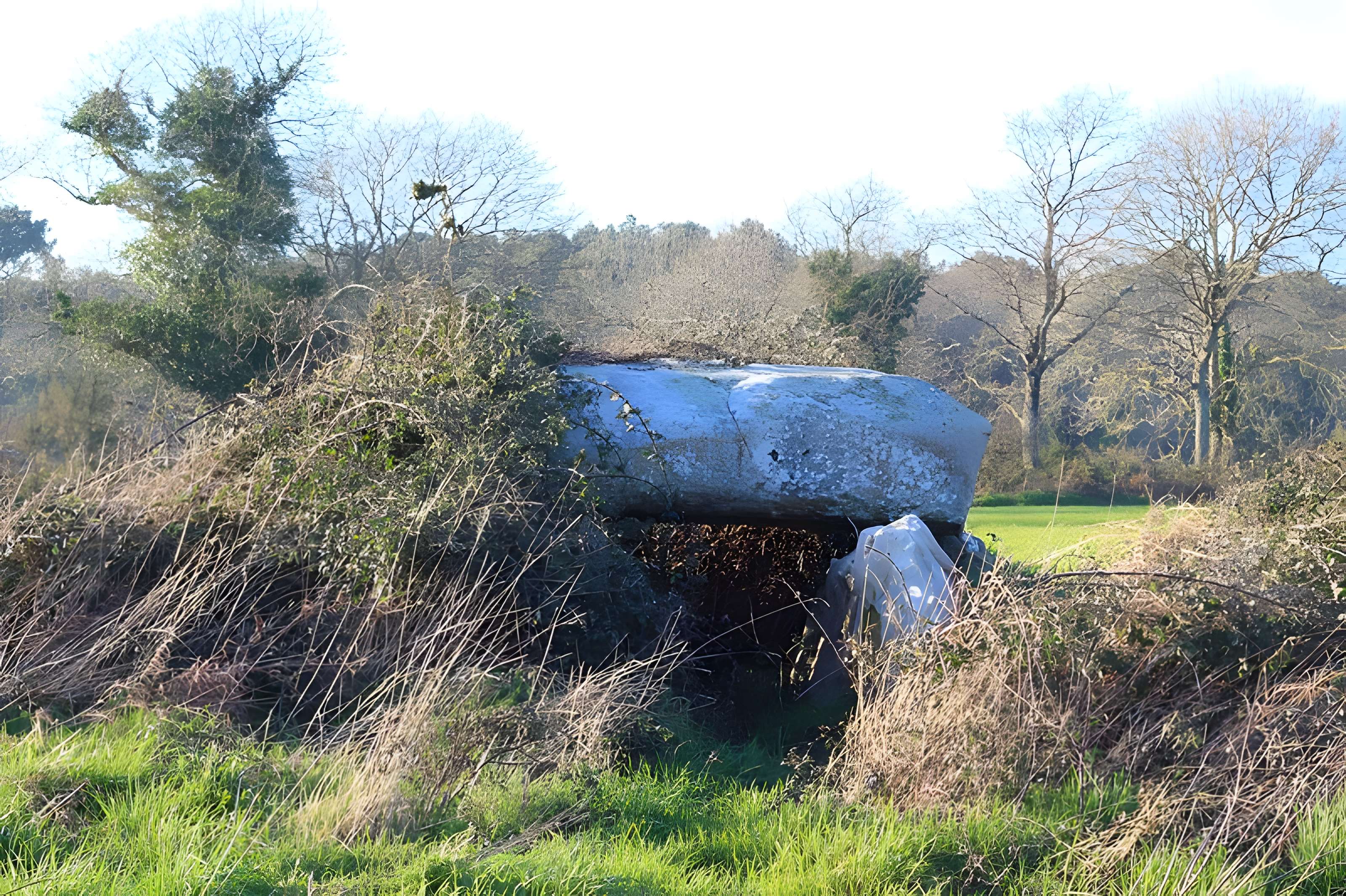 Dolmen de Kéric-la-Lande à Carnac