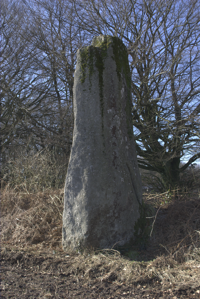 Photo de Dolmen de Kerivole à Bourbriac