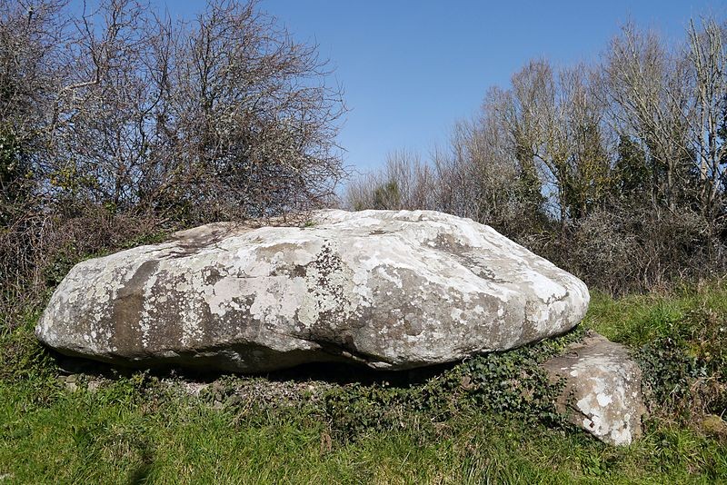 Photo de Dolmen de Kerlud à Locmariaquer