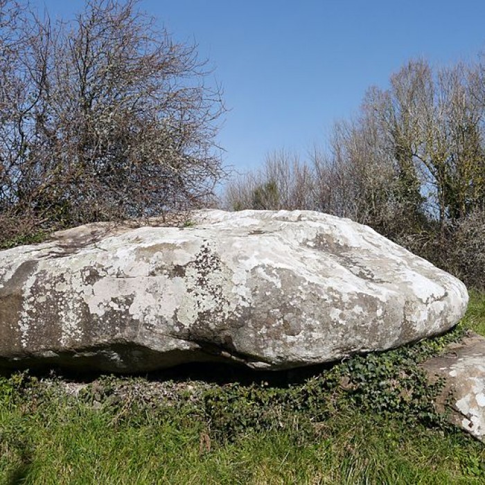 Photo de Dolmen de Kerlud à Locmariaquer