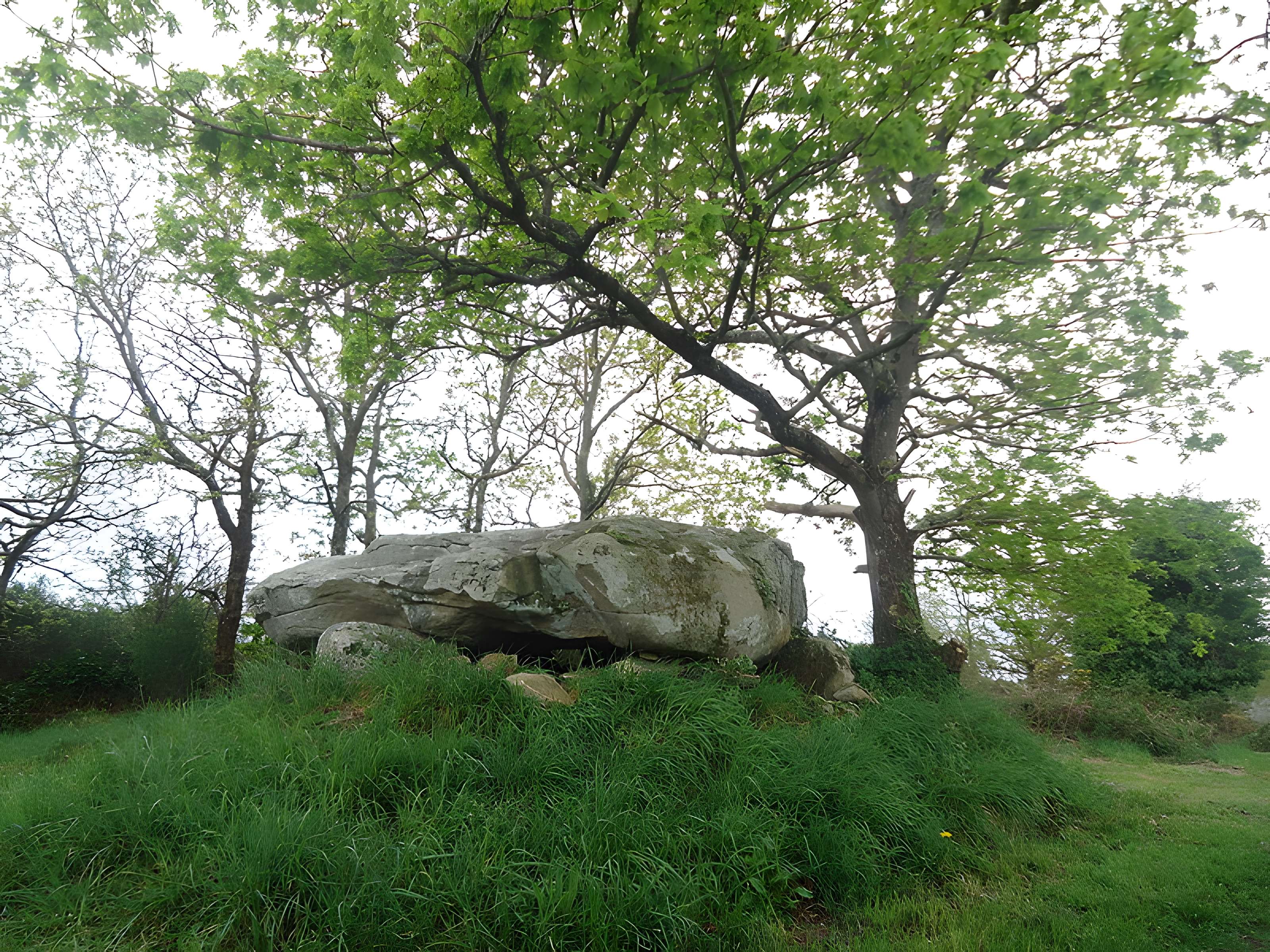 Dolmen de Kerlutu à Belz