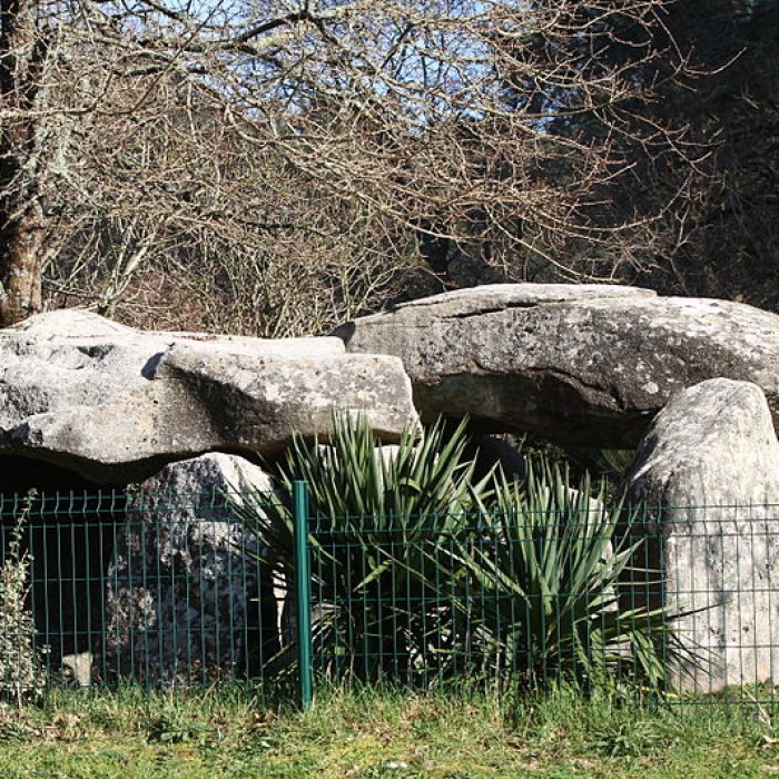 Photo de Dolmen de Kermané à Saint-Philibert