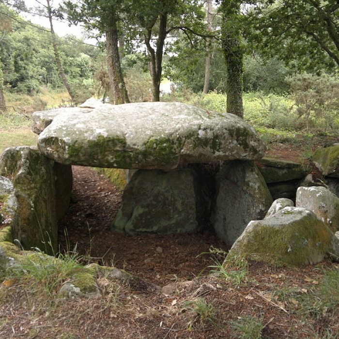 Photo de Dolmen de Kermarker à La Trinité-sur-Mer
