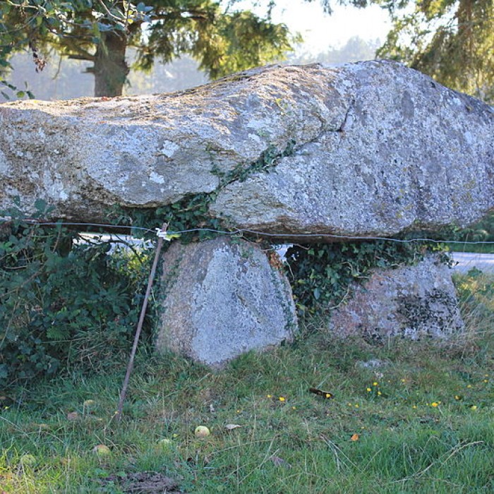 Photo de Dolmen de Kermorvant à Moustoir-Ac