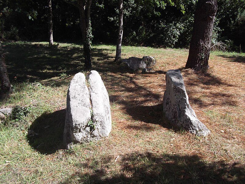 Dolmen de Kervignon à Plobannalec-Lesconil