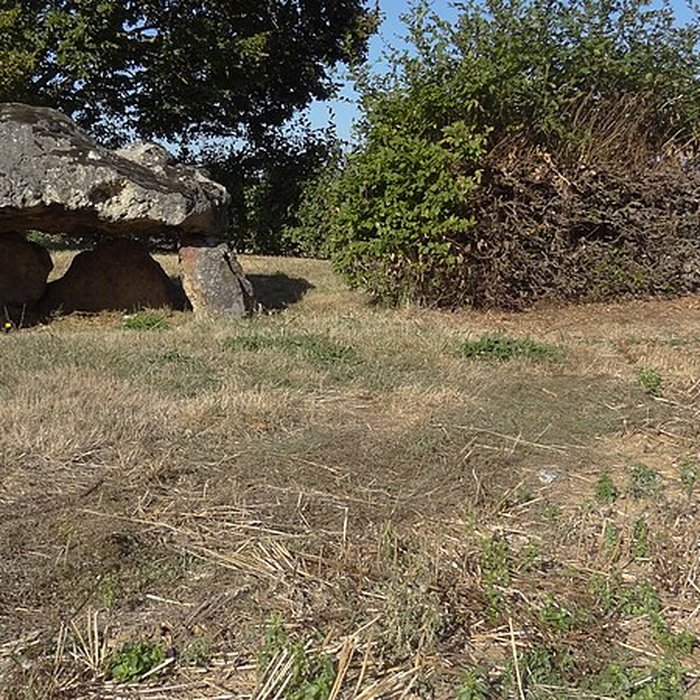 Photo de Dolmen de la Couture à Saint-Hilaire-la-Gravelle