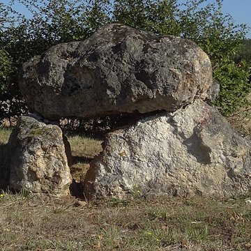 Dolmen de la Couture à Saint-Hilaire-la-Gravelle