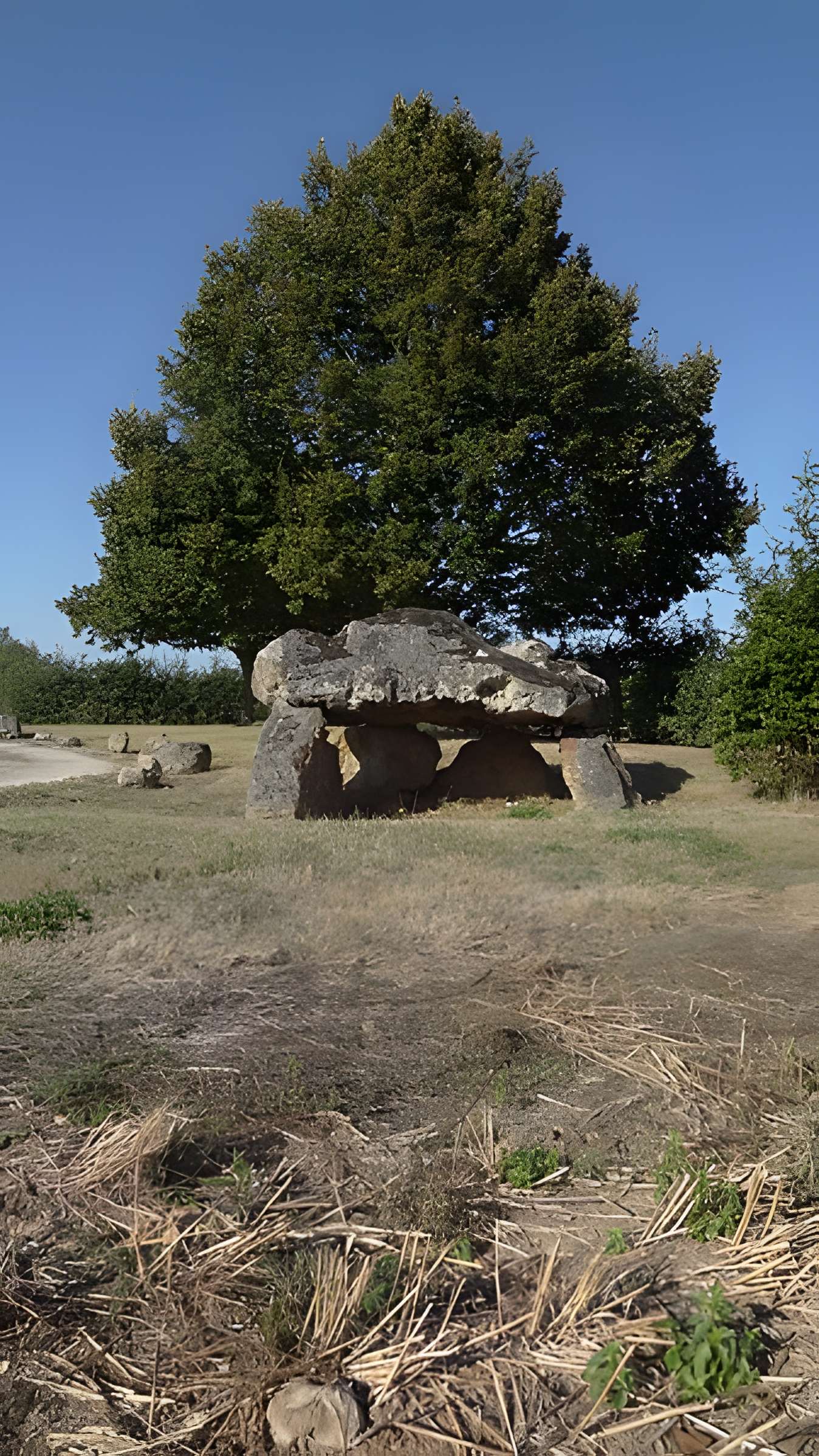 Dolmen de la Couture à Saint-Hilaire-la-Gravelle