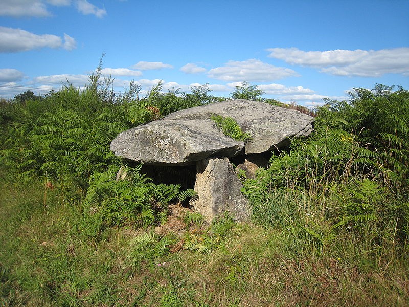 Photo de Dolmen de La Croix-du-Breuil à Verneuil-sur-Vienne