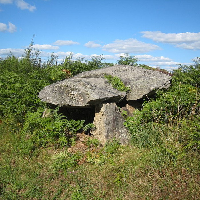 Photo de Dolmen de La Croix-du-Breuil à Verneuil-sur-Vienne