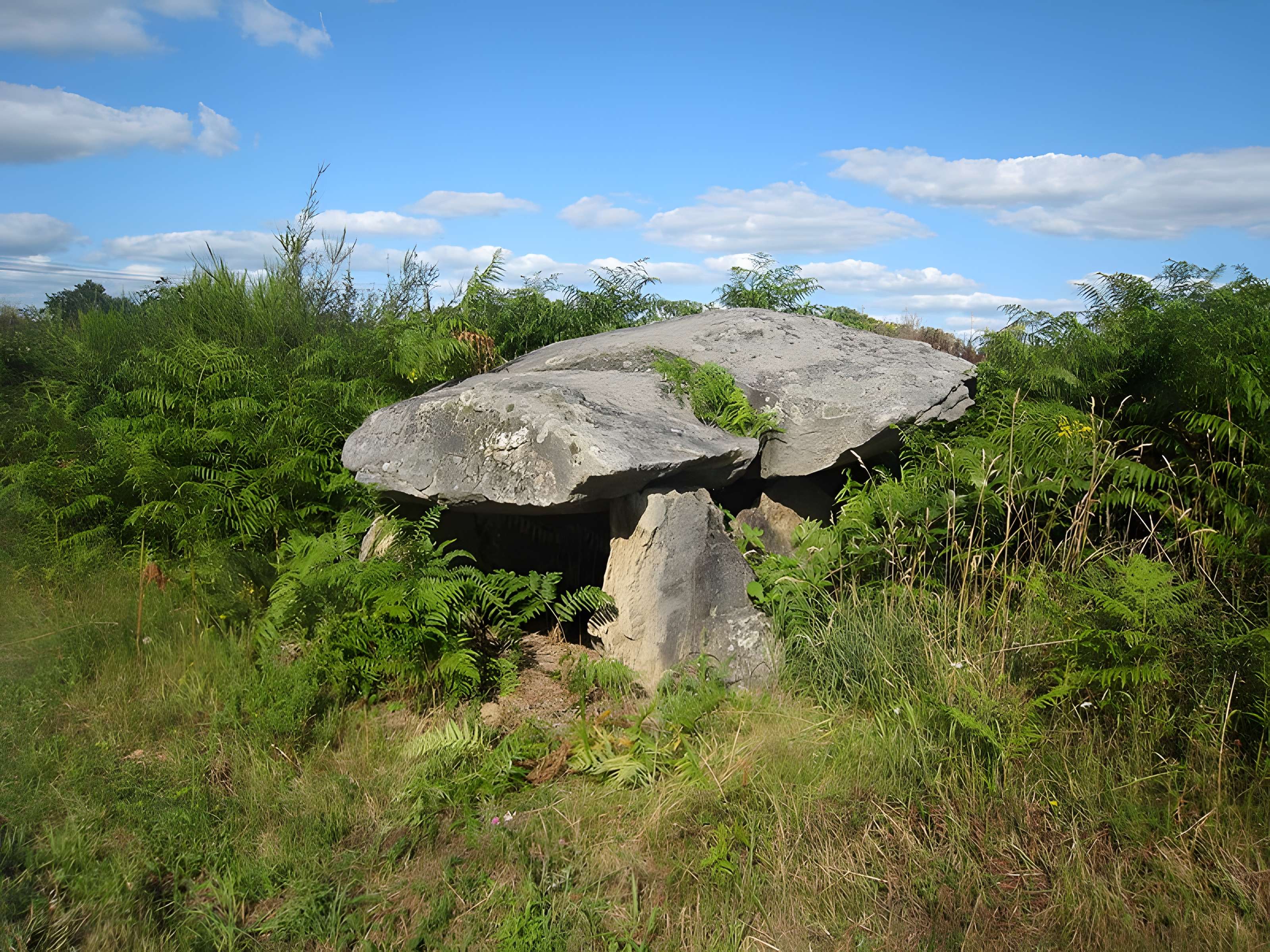 Dolmen de La Croix-du-Breuil à Verneuil-sur-Vienne 