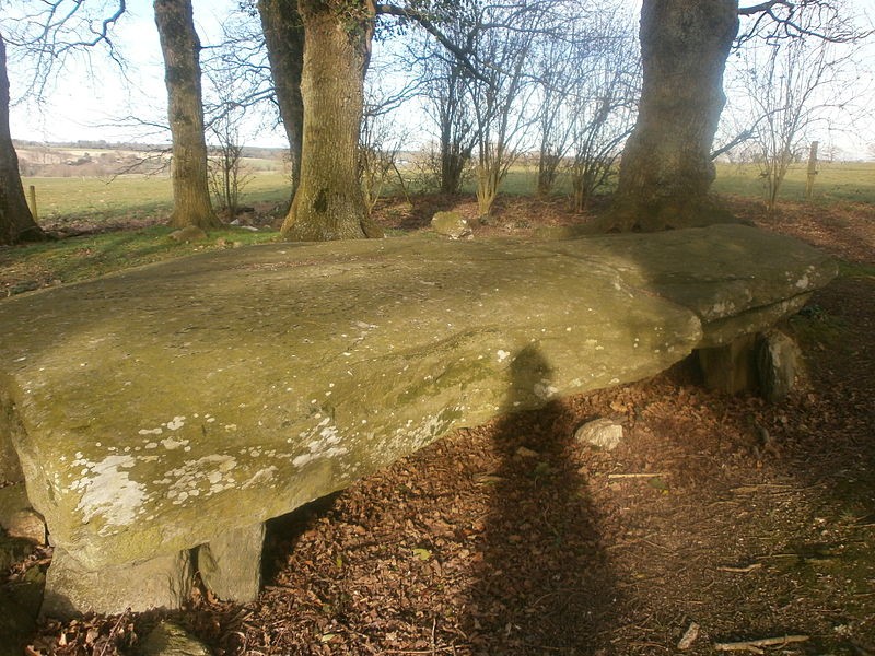 Photo de Dolmen de la Maison Trouvée à La Chapelle-Caro
