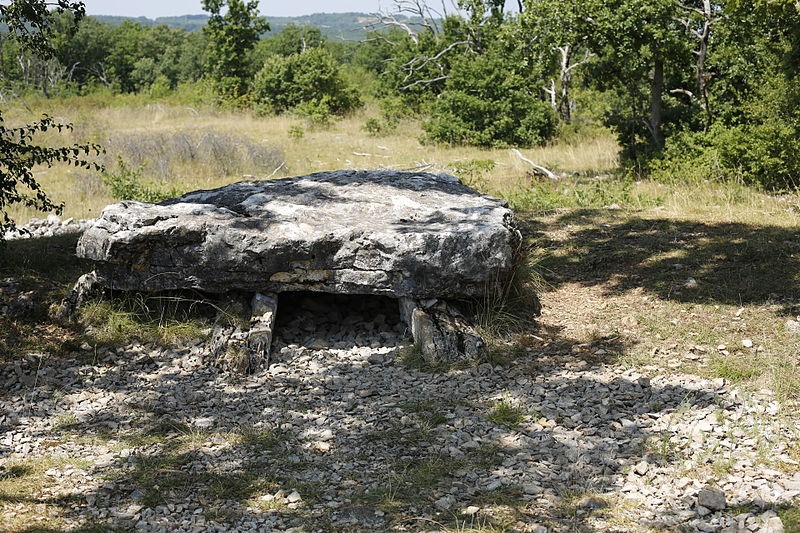 Photo de Dolmen de la Palein à Saint-Cernin-de-Larche
