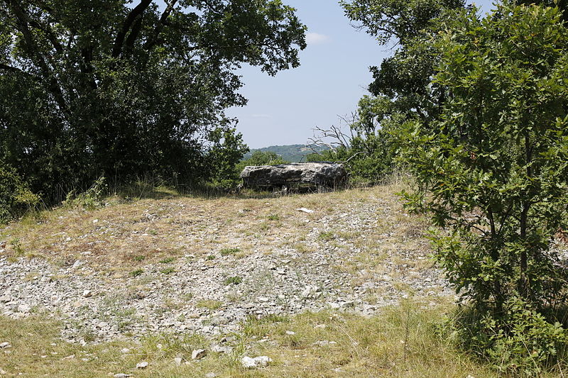 Dolmen de la Palein à Saint-Cernin-de-Larche