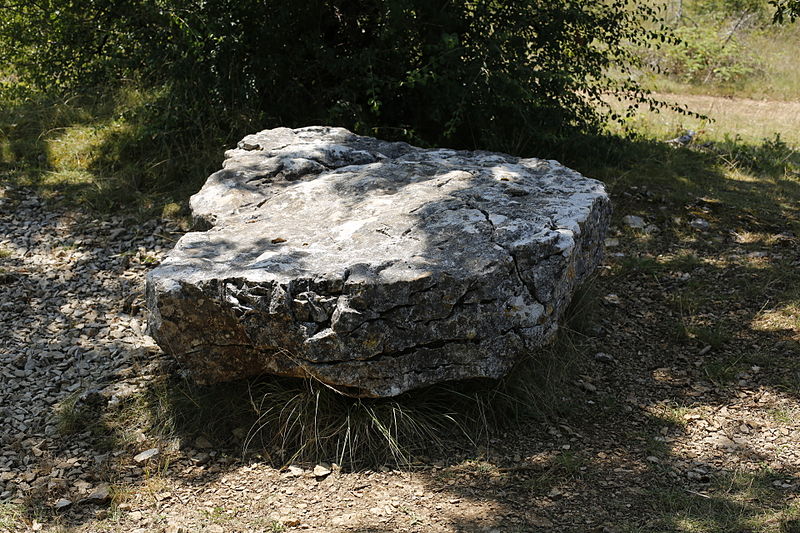 Dolmen de la Palein à Saint-Cernin-de-Larche