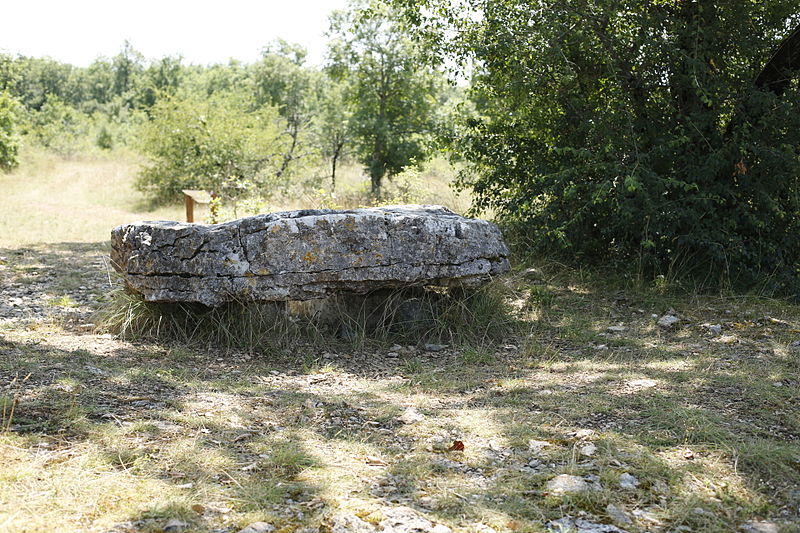 Dolmen de la Palein à Saint-Cernin-de-Larche