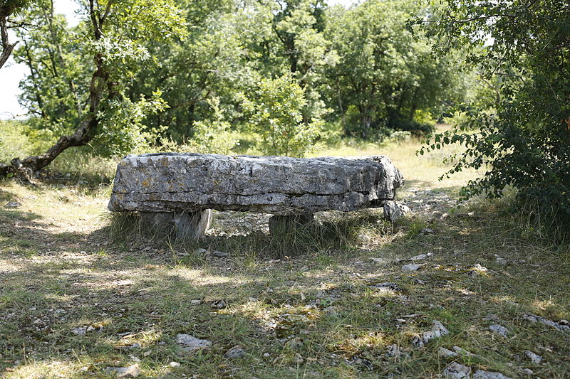 Dolmen de la Palein à Saint-Cernin-de-Larche