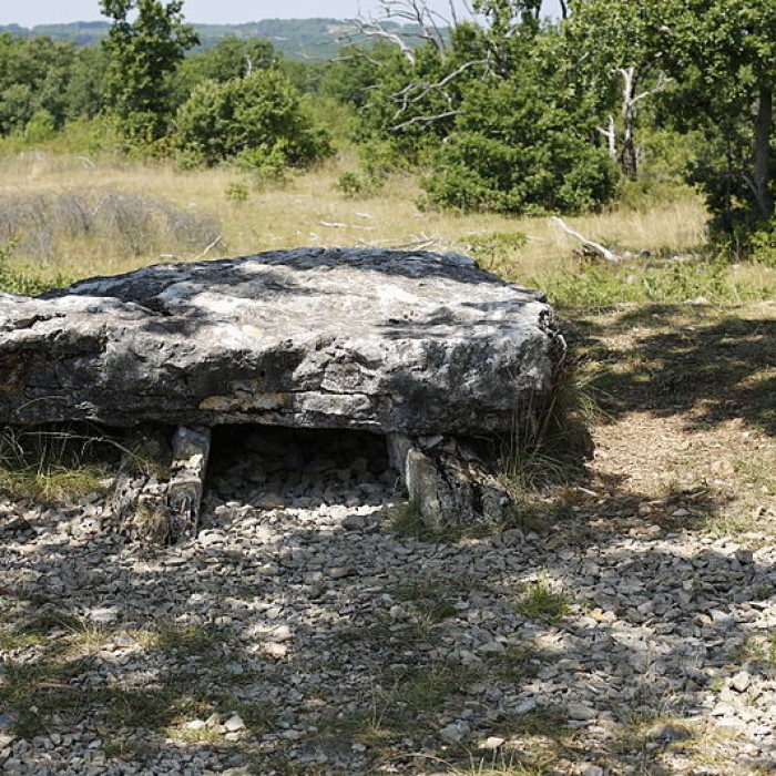 Photo de Dolmen de la Palein à Saint-Cernin-de-Larche