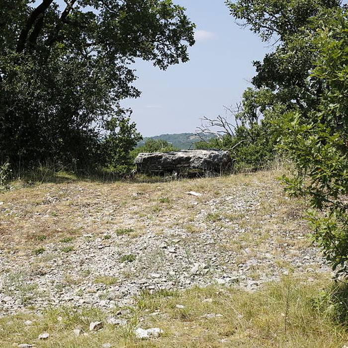 Photo de Dolmen de la Palein à Saint-Cernin-de-Larche