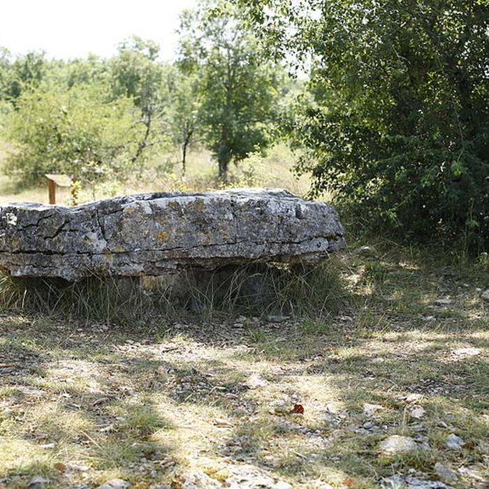 Photo de Dolmen de la Palein à Saint-Cernin-de-Larche