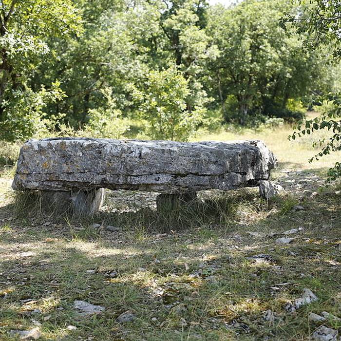 Photo de Dolmen de la Palein à Saint-Cernin-de-Larche