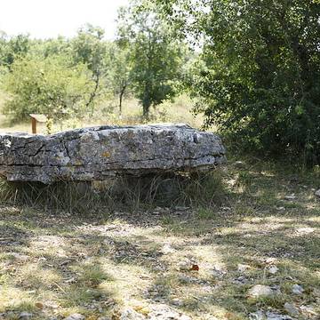 Dolmen de la Palein à Saint-Cernin-de-Larche