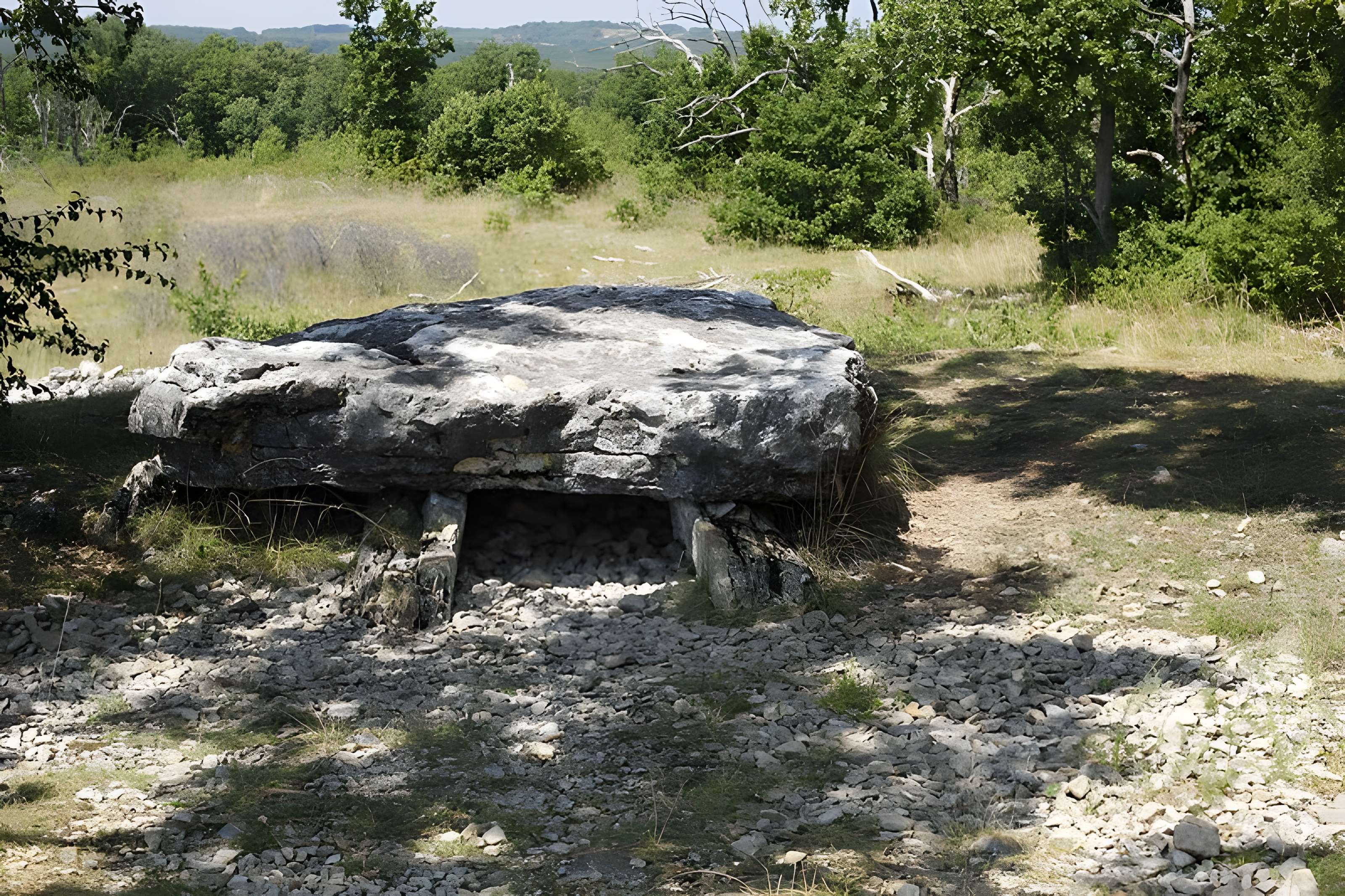 Dolmen de la Palein à Saint-Cernin-de-Larche 
