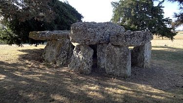 Photo de Dolmen de la Pierre Levée à La Chapelle-Vendômoise