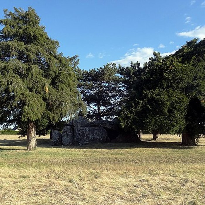 Photo de Dolmen de la Pierre Levée à La Chapelle-Vendômoise