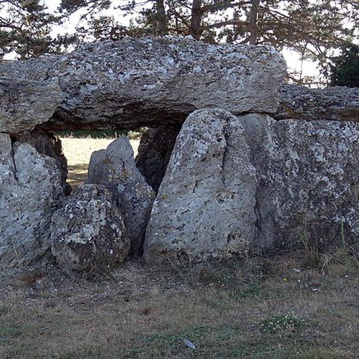 Photo de Dolmen de la Pierre Levée à La Chapelle-Vendômoise