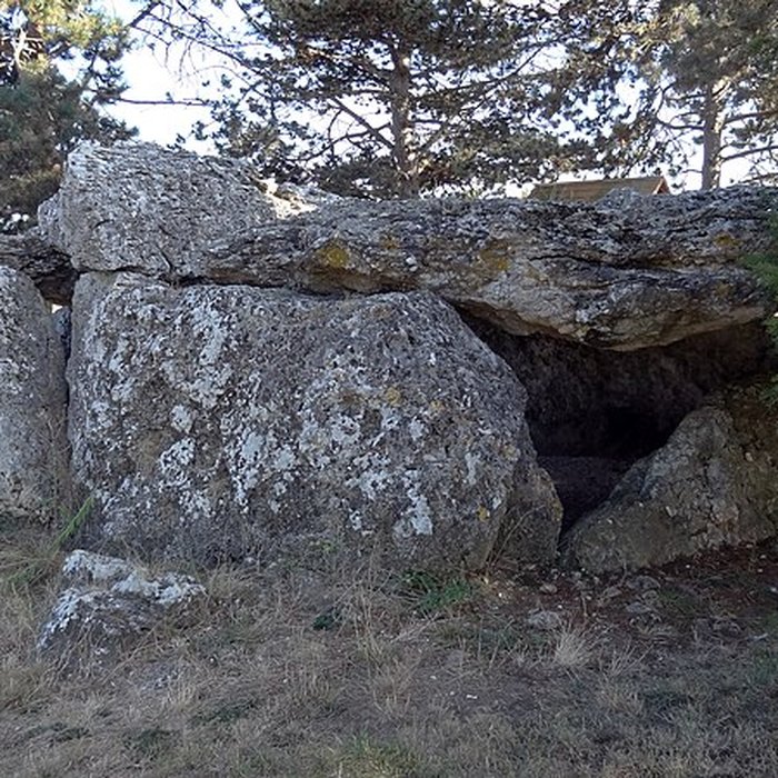 Photo de Dolmen de la Pierre Levée à La Chapelle-Vendômoise