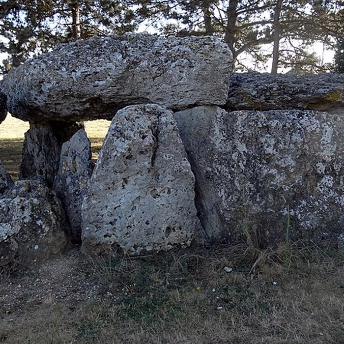 Photo de Dolmen de la Pierre Levée à La Chapelle-Vendômoise