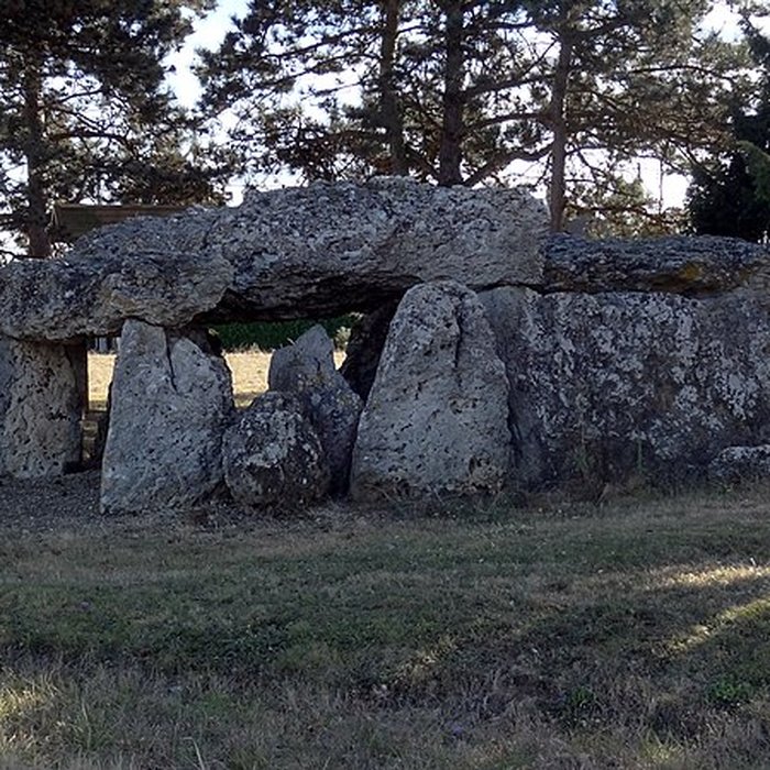 Photo de Dolmen de la Pierre Levée à La Chapelle-Vendômoise