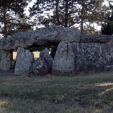 Dolmen de la Pierre Levée à La Chapelle-Vendômoise