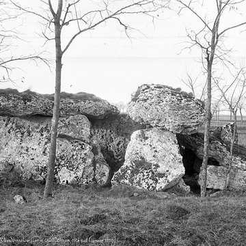 Dolmen de la Pierre Levée à La Chapelle-Vendômoise
