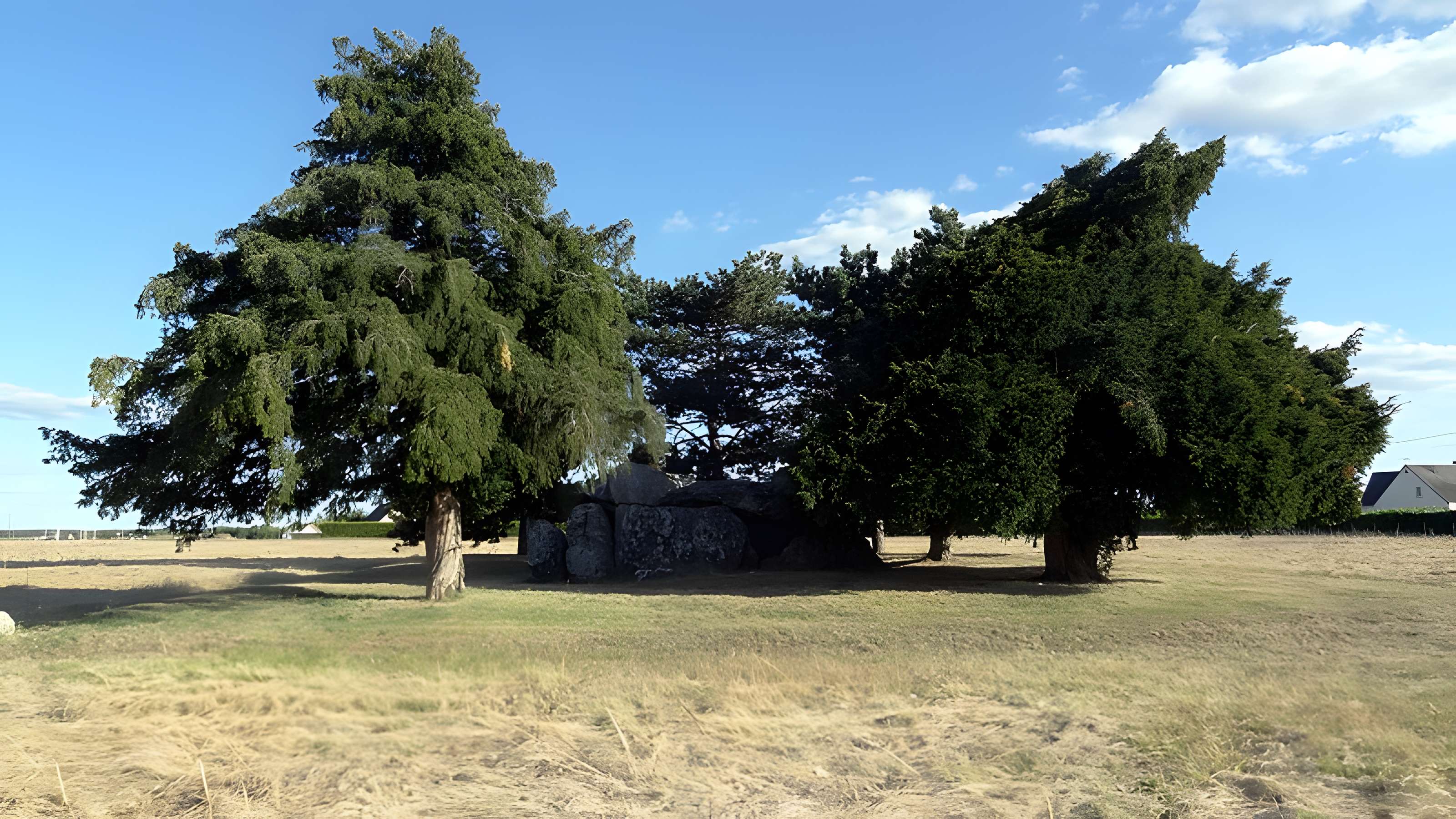 Dolmen de la Pierre Levée à La Chapelle-Vendômoise
