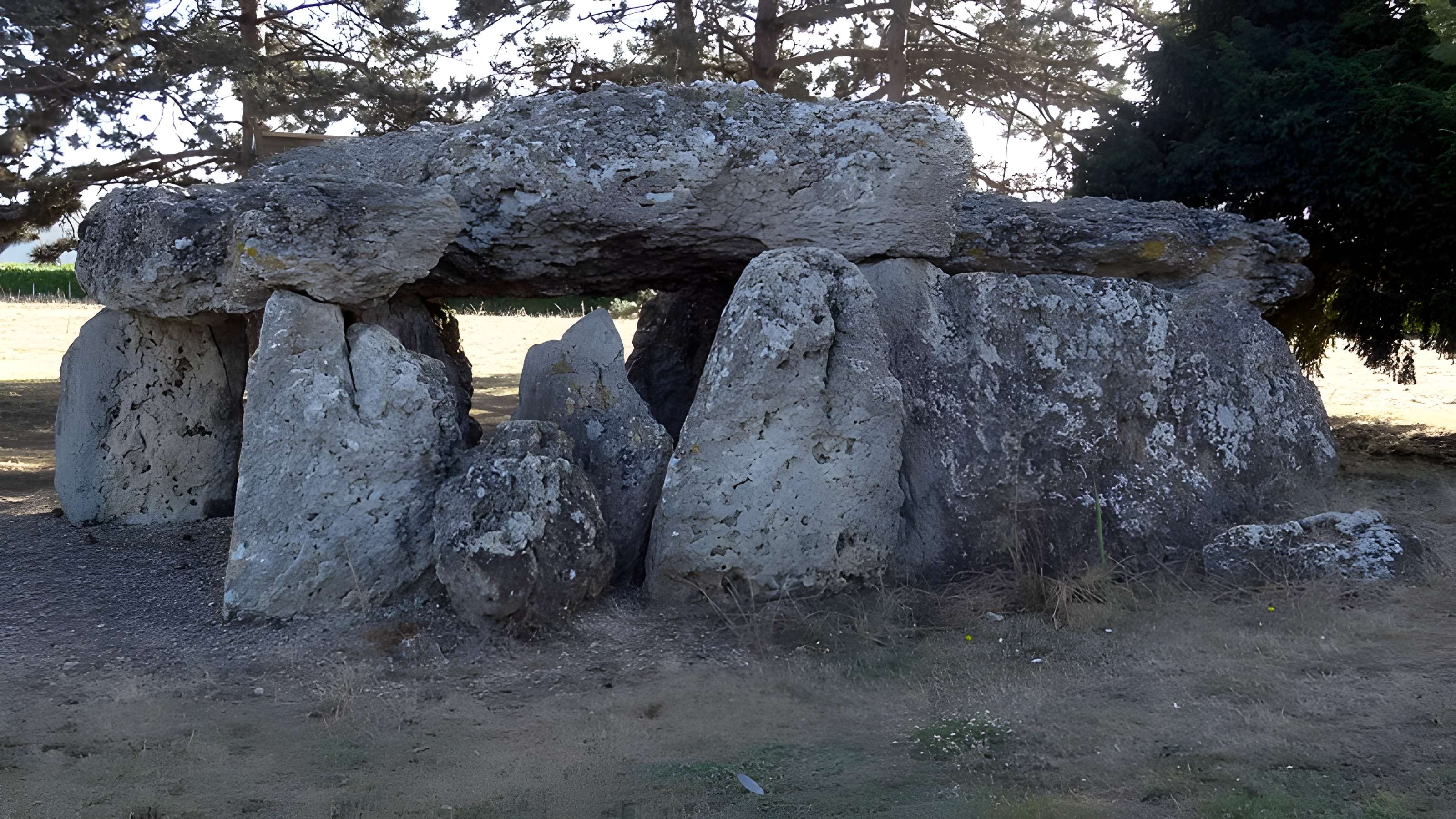Dolmen de la Pierre Levée à La Chapelle-Vendômoise