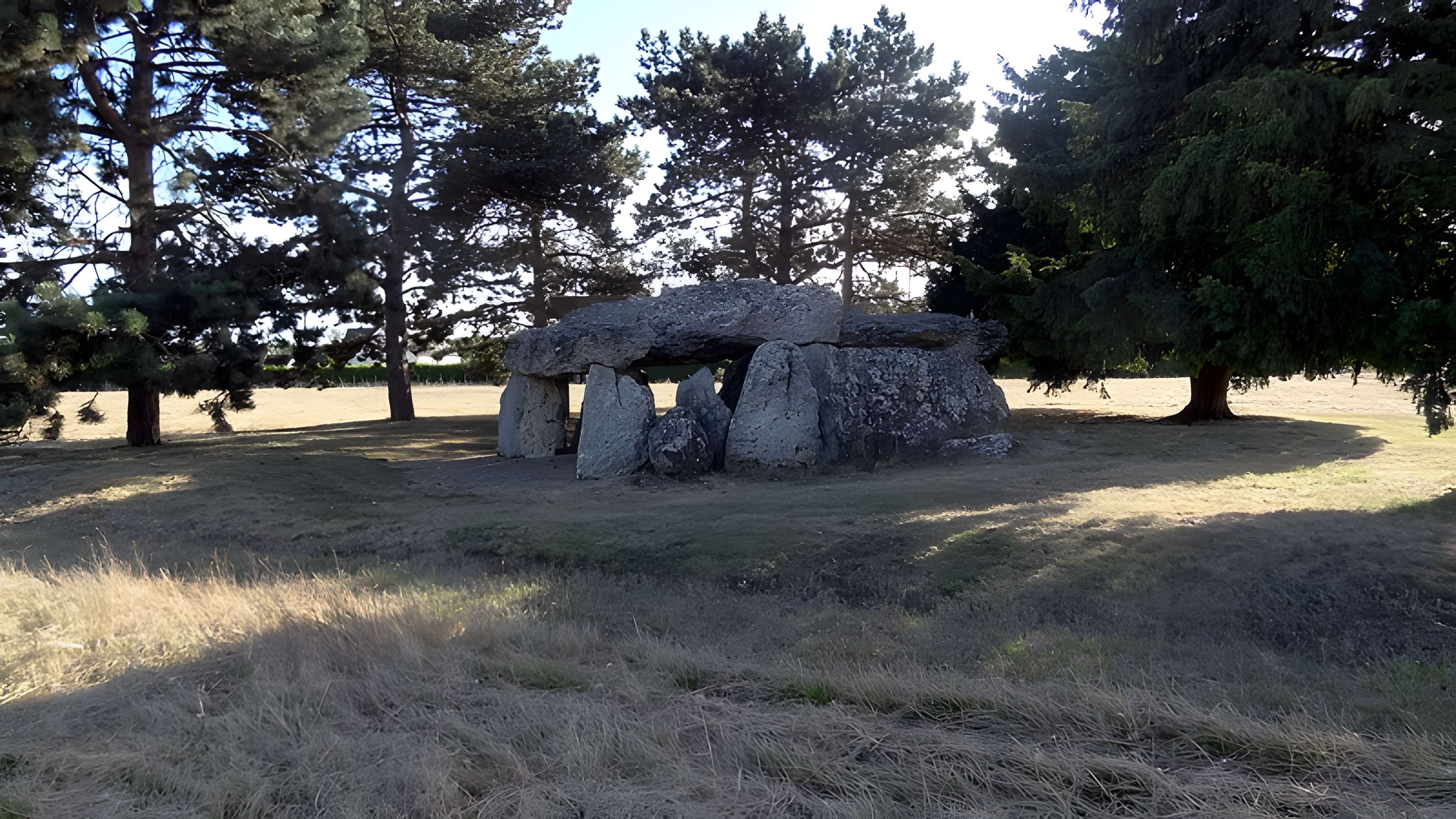 Dolmen de la Pierre Levée à La Chapelle-Vendômoise
