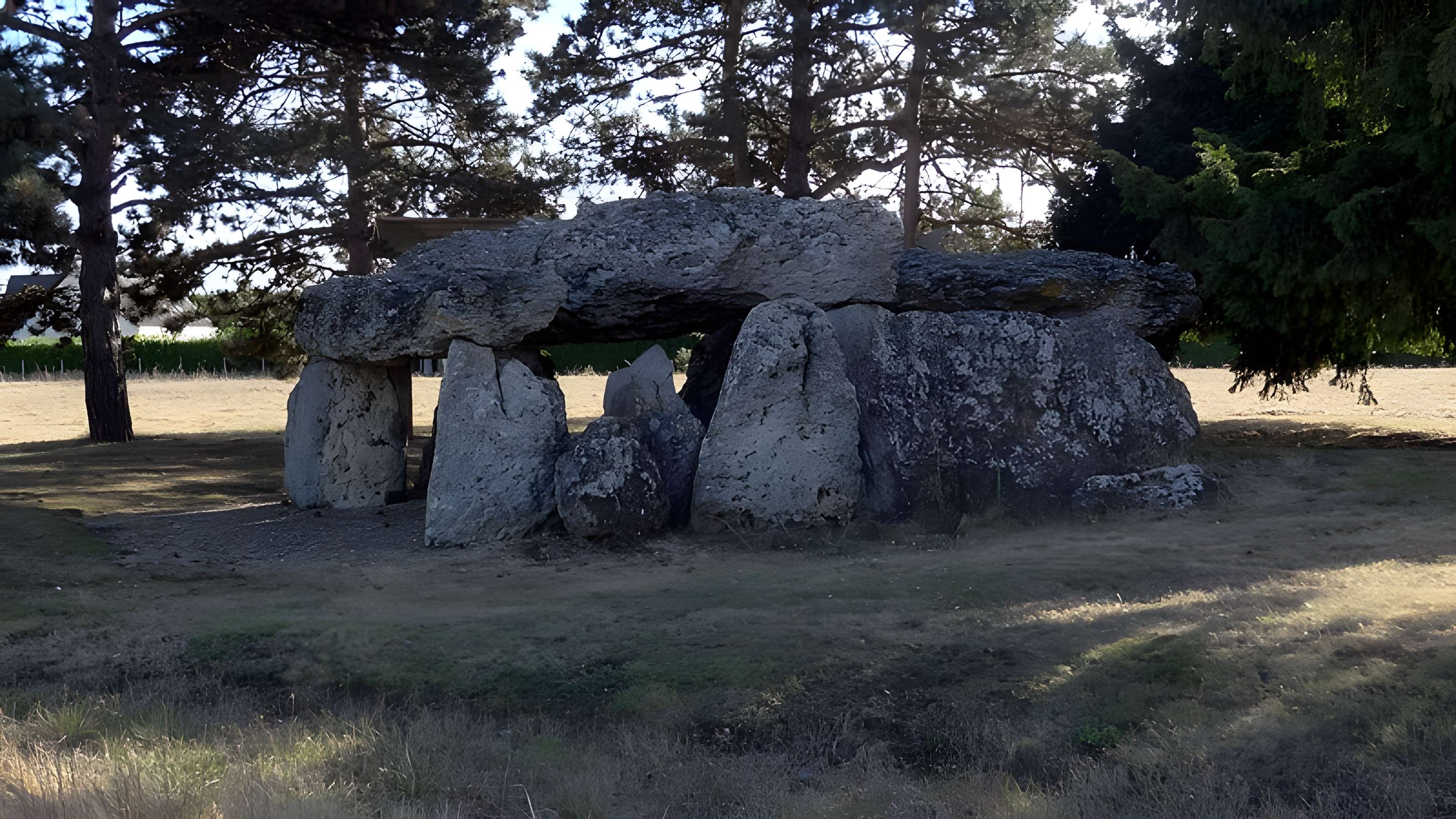 Dolmen de la Pierre Levée à La Chapelle-Vendômoise